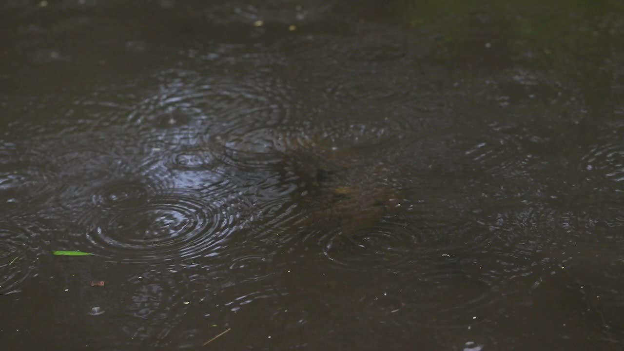 大雨落下，溅在水池上视频素材