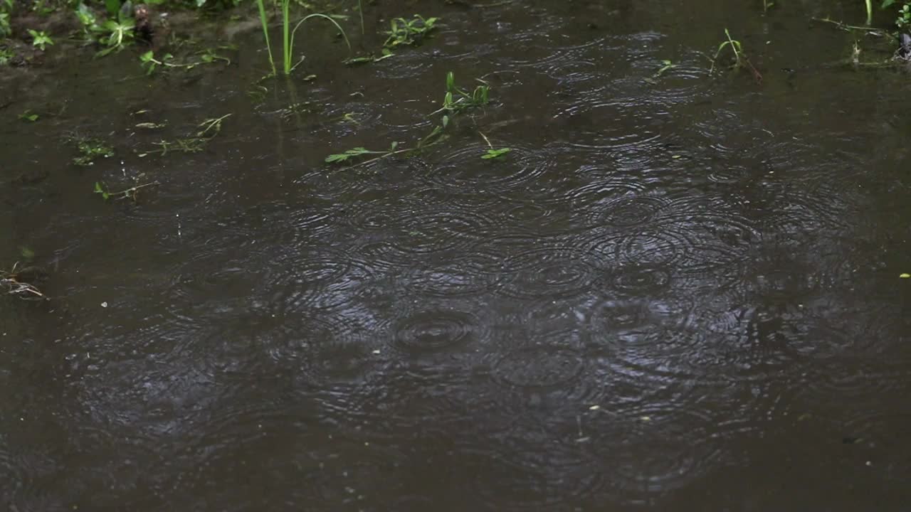 雨天的场景视频素材