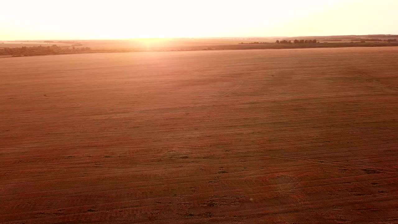 在夕阳西下时，镜头穿过麦田，移向麦穗上方的太阳。农业工业和农业综合企业中谷物收获的概念。横向运动视频素材