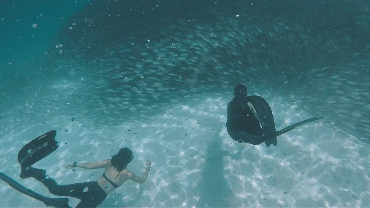 两个自由潜水员在水下和鱼群一起游泳视频素材