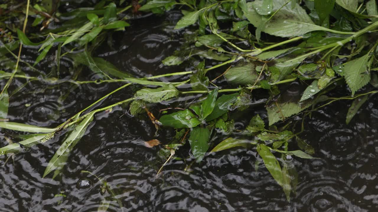 雨天的场景视频素材