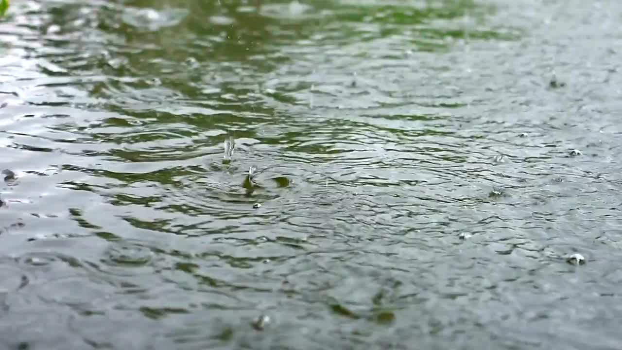 雨水滴落在池水的背景里视频素材