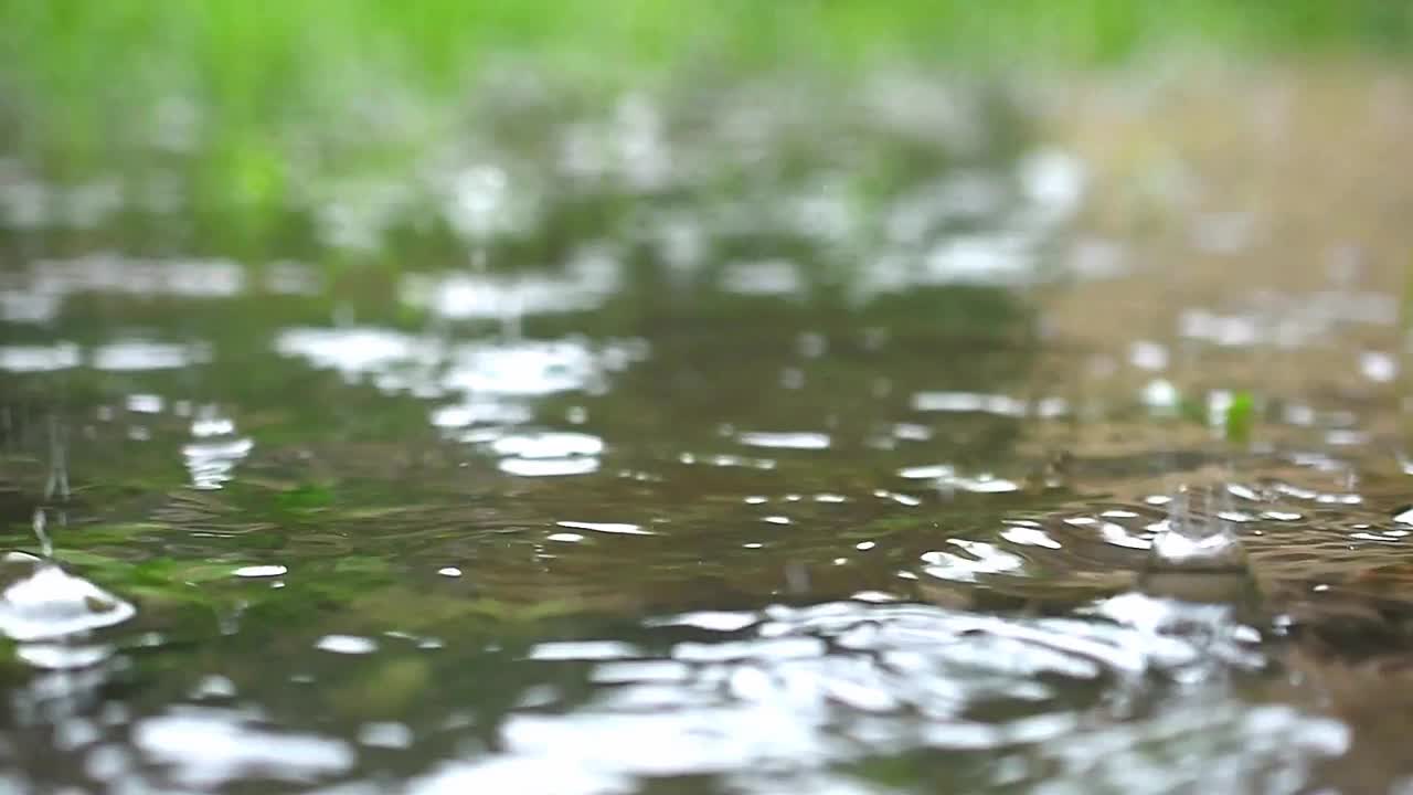 雨水滴落在地上的积水中，模糊的绿草背景和声音视频素材