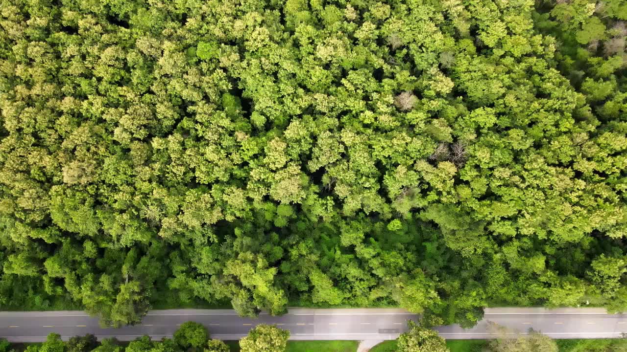 山路上的山顶有一片绿色的丛林森林，背景是山峦。视频素材