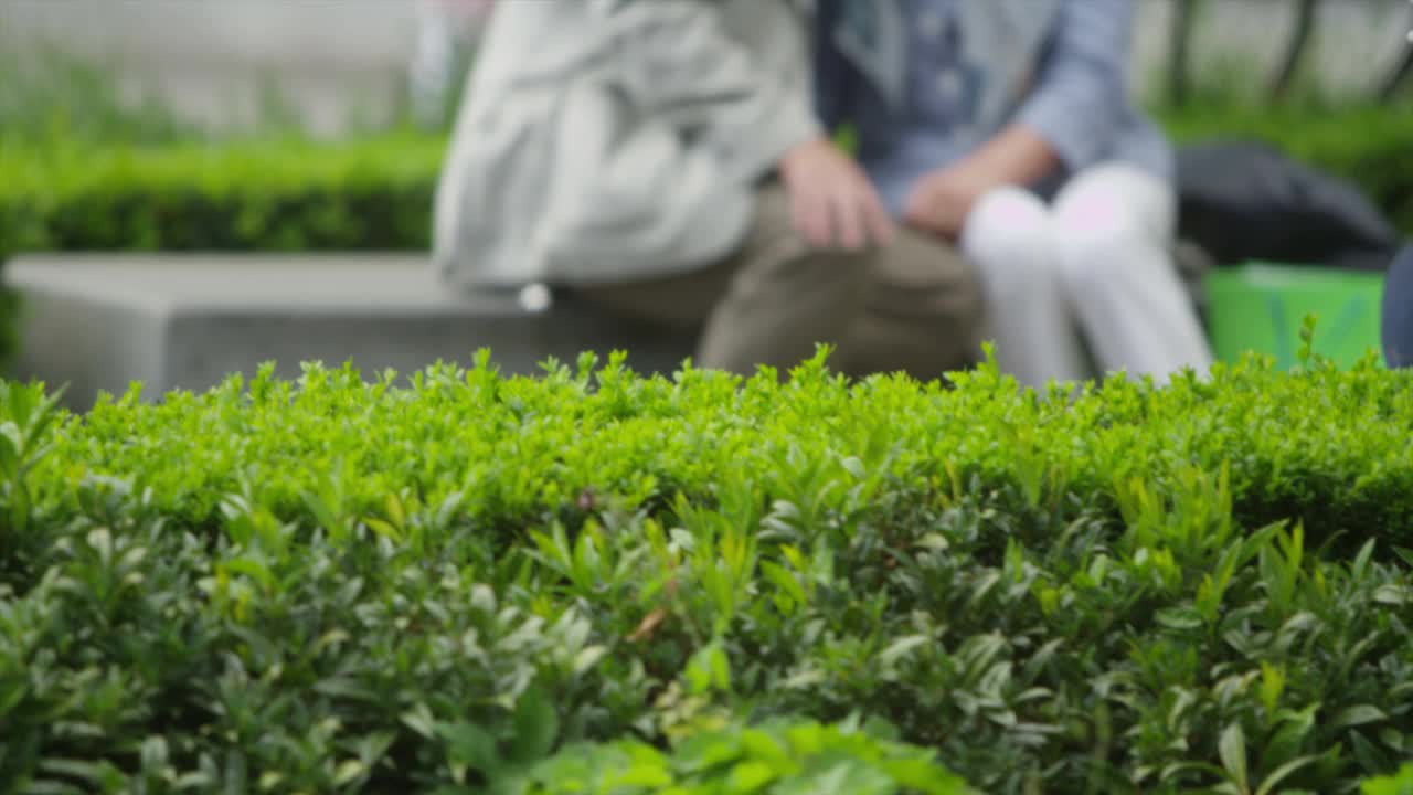 外面的资深情侣视频素材