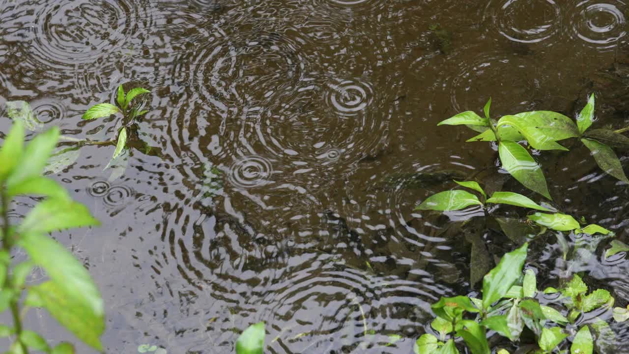 雨天的场景视频素材