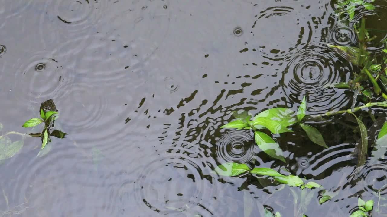 雨天的场景视频素材