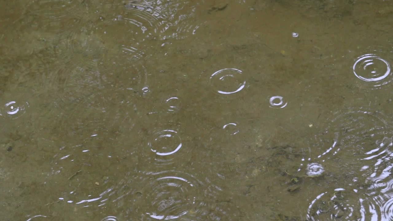 大雨落下，溅在水池上视频素材