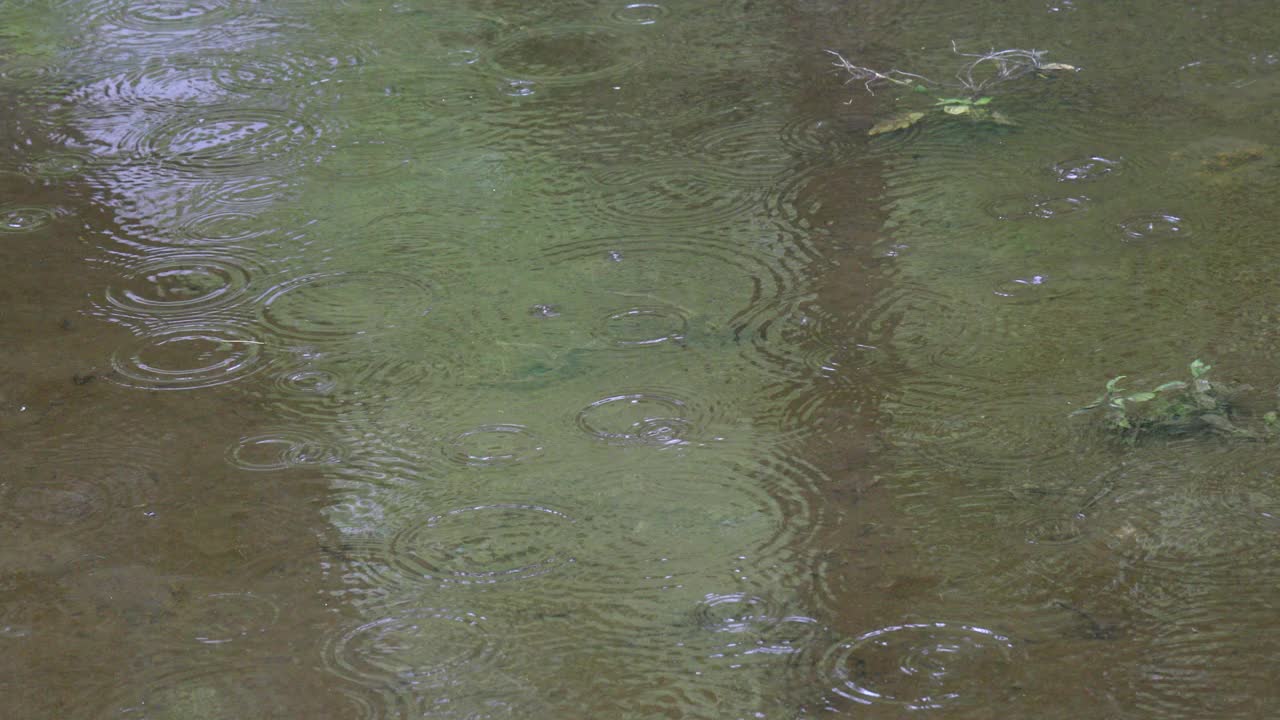 大雨落下，溅在水池上视频素材