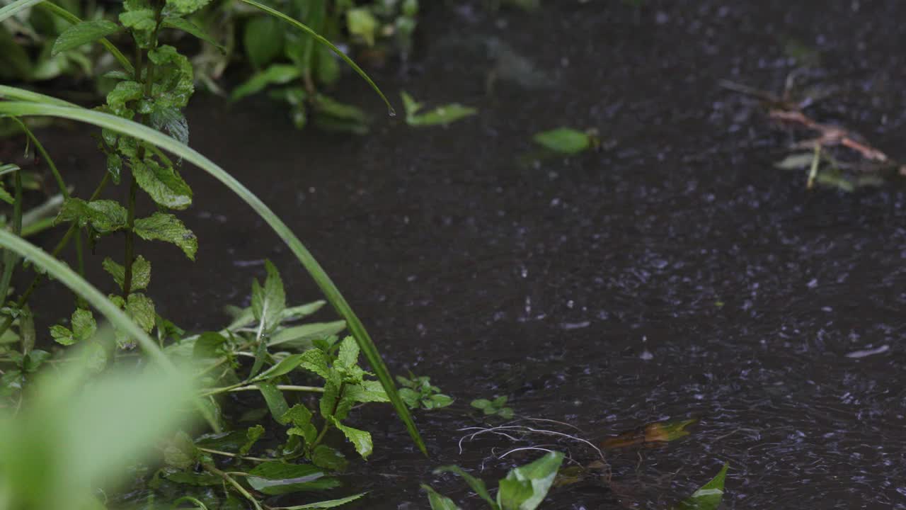 雨天的场景视频素材