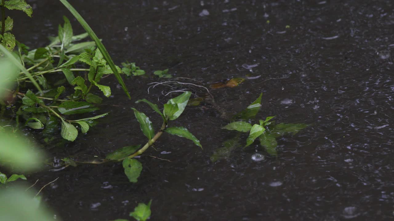 雨天的场景视频素材