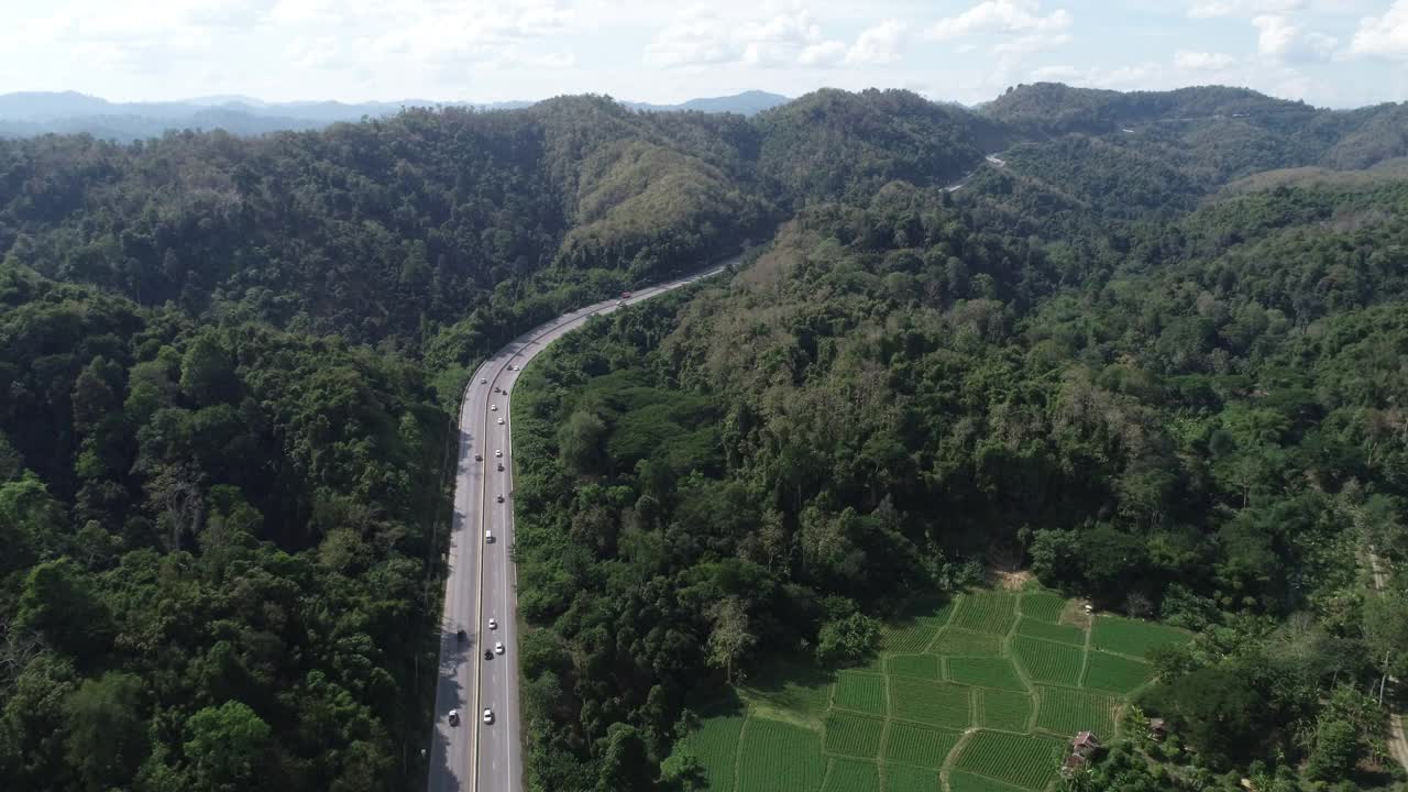 黑色高速公路在绿色森林山视频素材