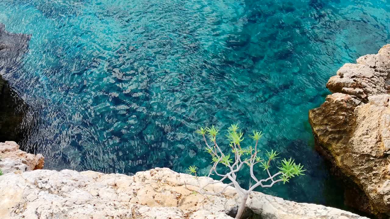 透明的蓝绿色海水在夏天，俯视图。视频素材