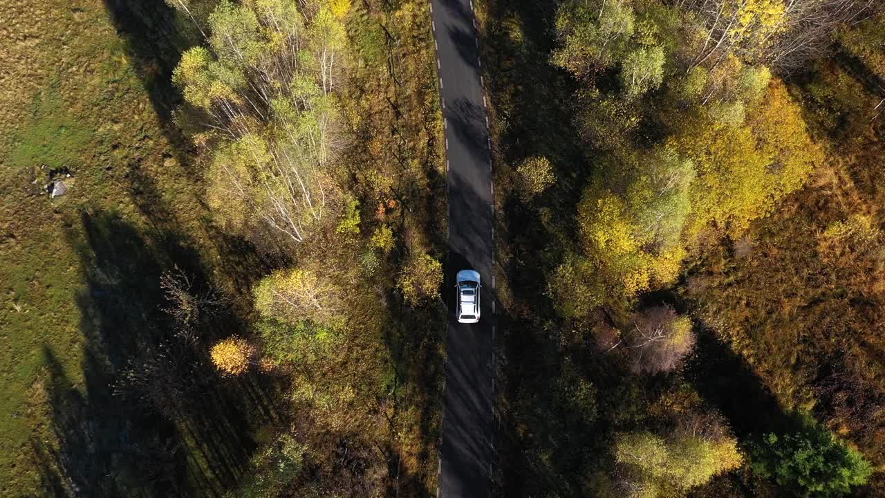 飞过一辆白色的汽车，行驶在五彩缤纷的秋天森林道路上。无人机视角视频素材