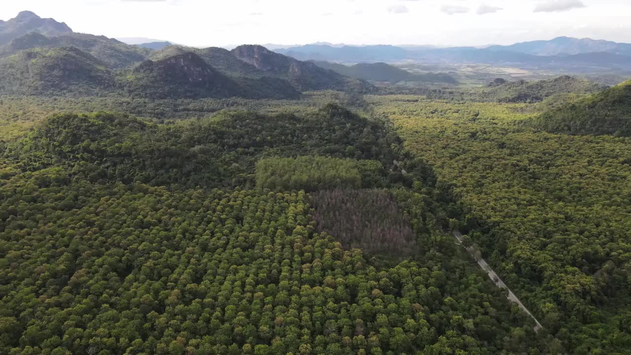 山路上的山顶有一片绿色的丛林森林，背景是山峦。视频素材