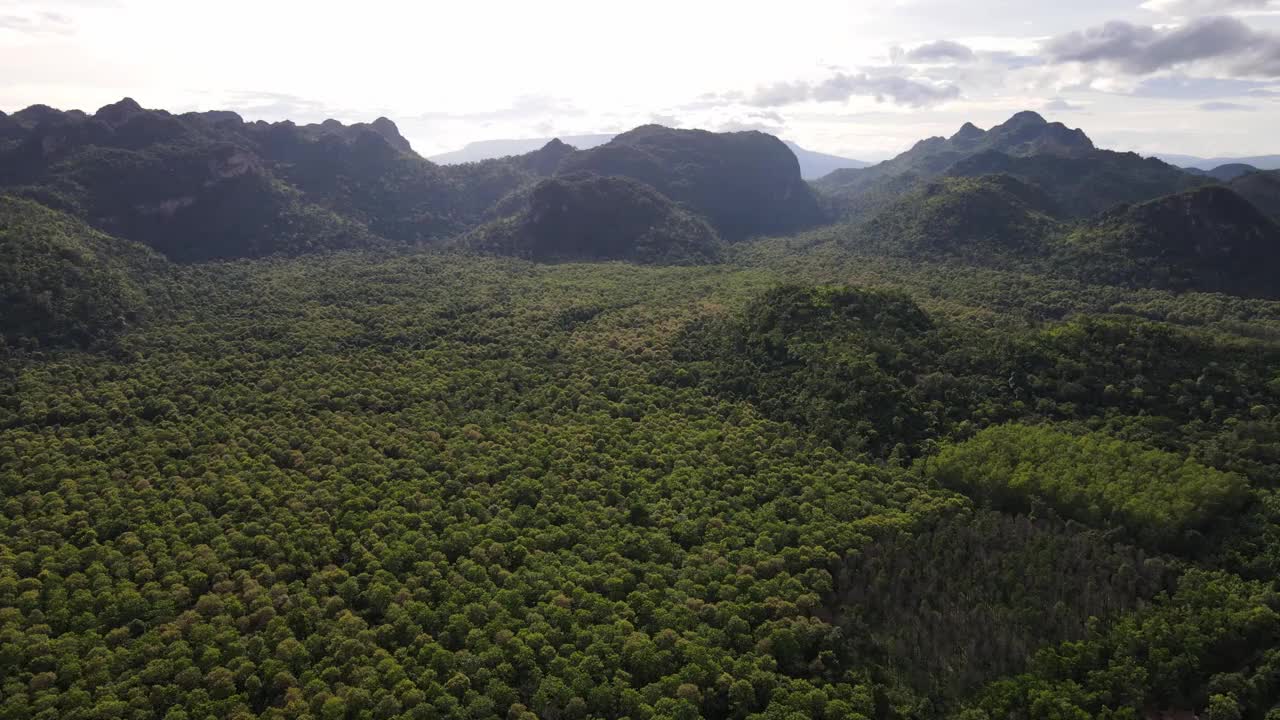 热带雨林树木众多，绿油油的，山峰壮观的天空背景。视频素材