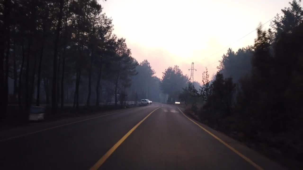 森林山路之间的İçmeler Turunç路火灾后，Marmaris，土耳其视频素材