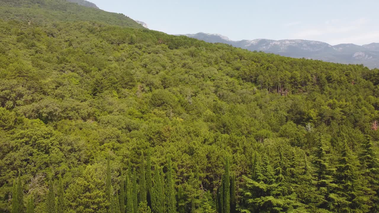 从空中看青山绿水。来自四轴飞行器的视频视频素材