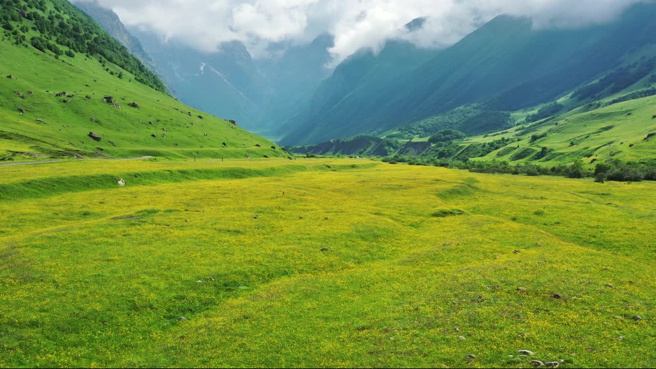 野花草地和高山视频素材