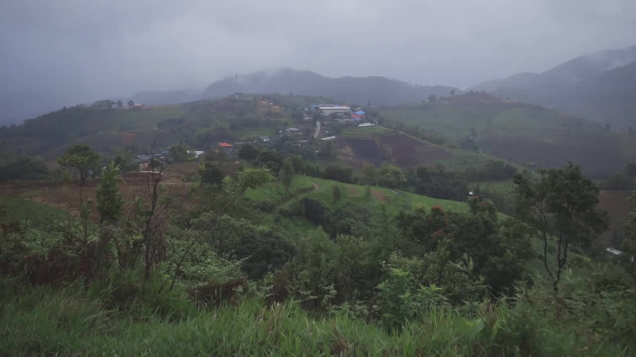 在泰国清迈山上的大自然中雨后视频素材