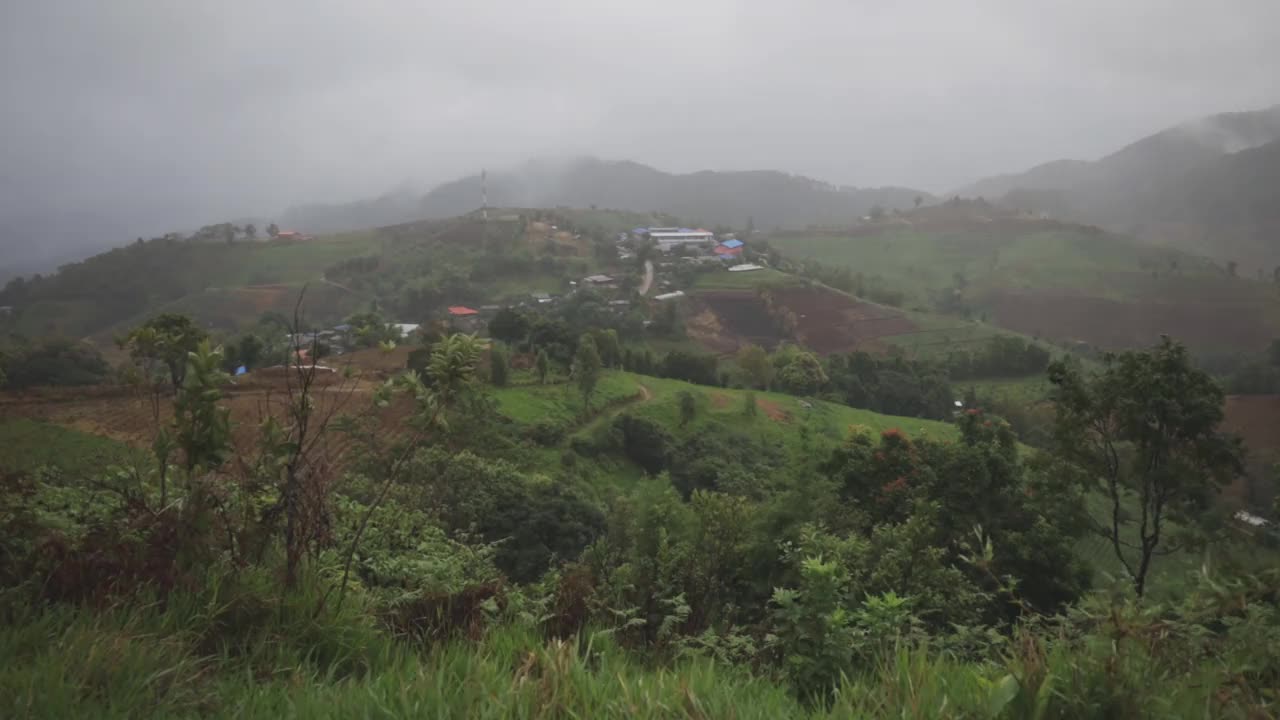 在泰国清迈山上的大自然中雨后视频素材