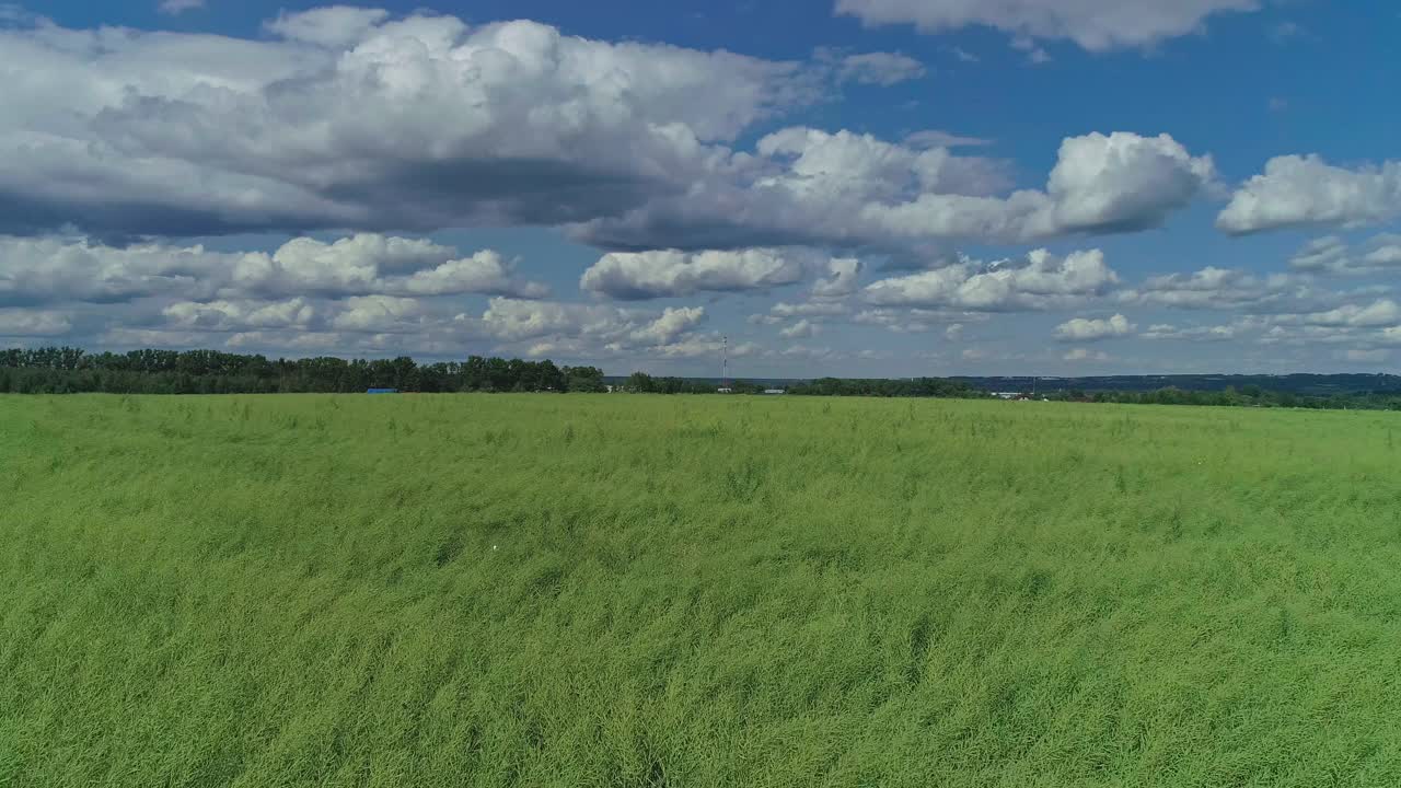 鸟瞰图的乡村景观，农田。无人机在农田上空低空飞行。农村的风景,农场视频素材