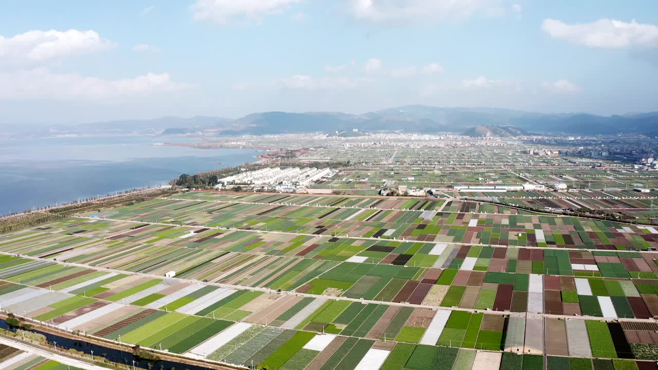 湖边的稻田视频素材