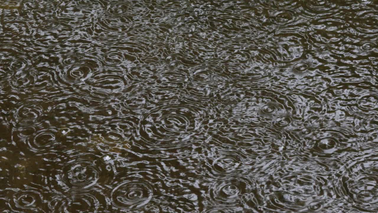 大雨落下，溅在水池上视频素材