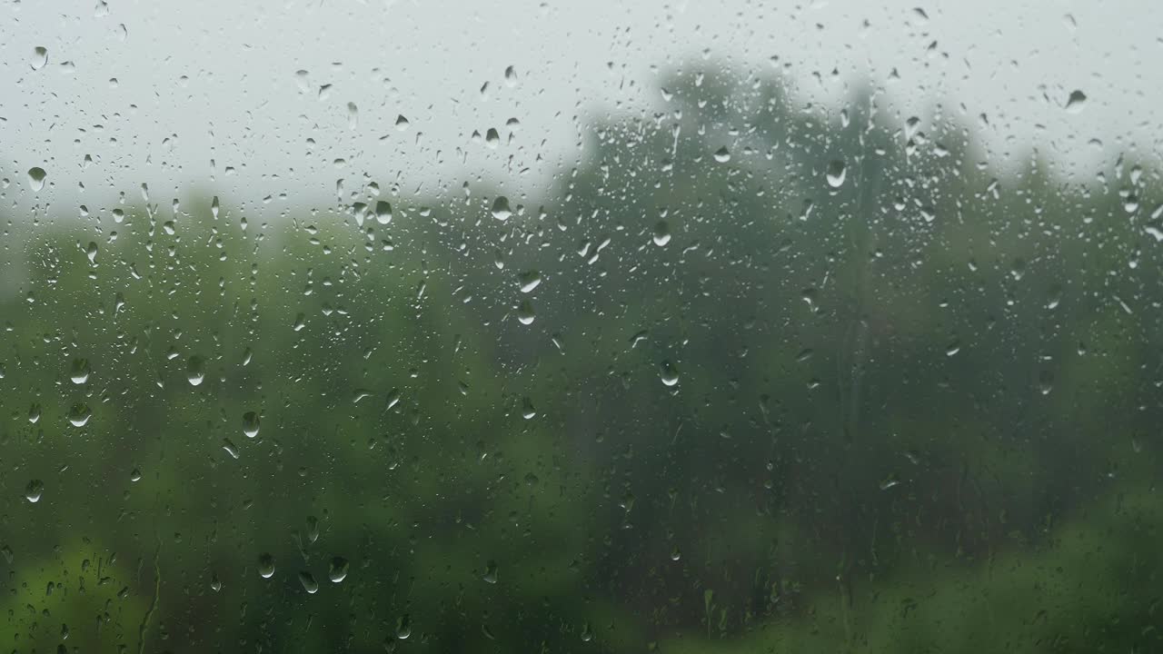 夏天下大雨。窗外的森林和倾盆大雨。视频素材