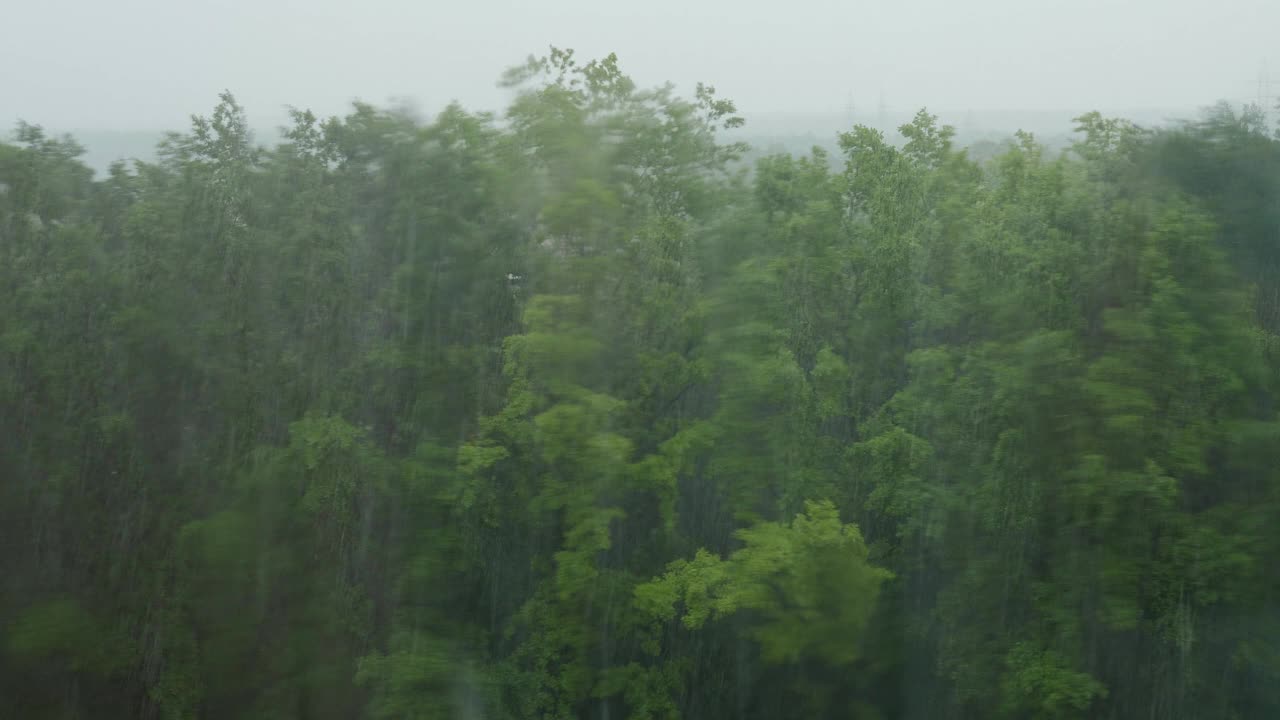 夏天下大雨。窗外的森林和倾盆大雨。视频素材