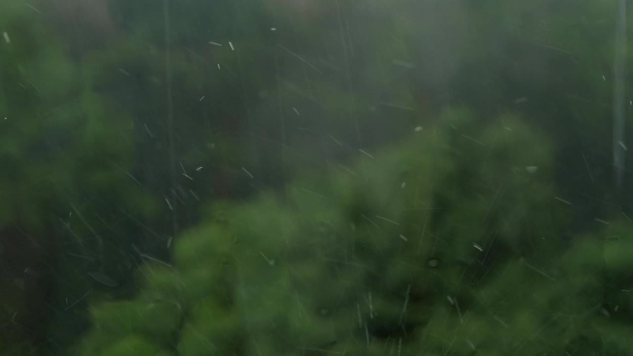 夏天下大雨。窗外的森林和倾盆大雨。视频素材