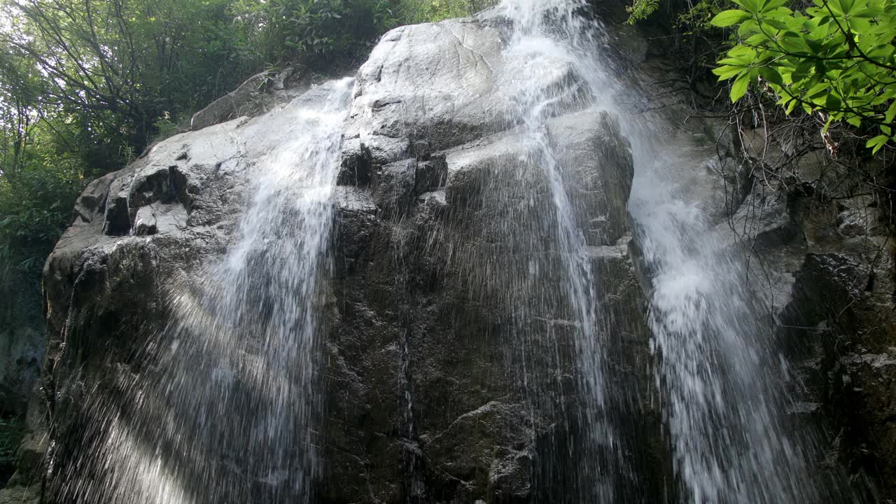 山间小溪，夏日树林视频素材