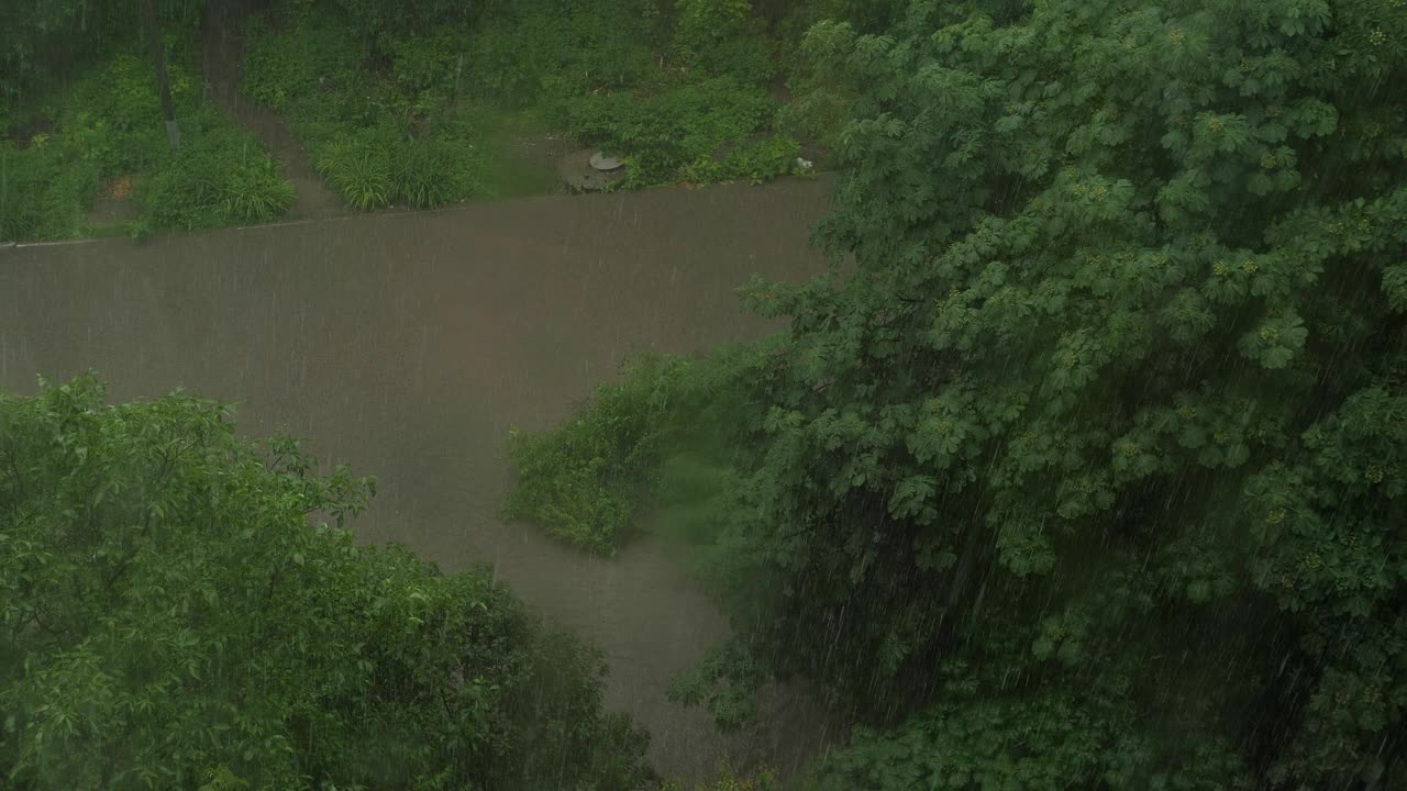 暴雨夏雨。窗外的大雨和洪水。视频素材