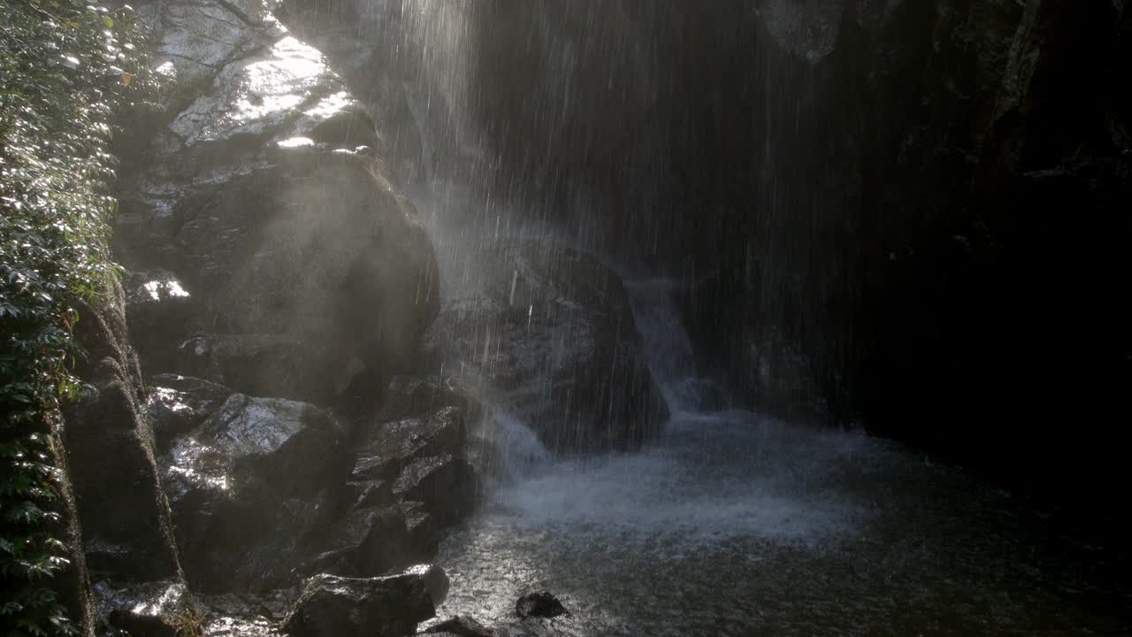 山间小溪，夏日树林视频素材