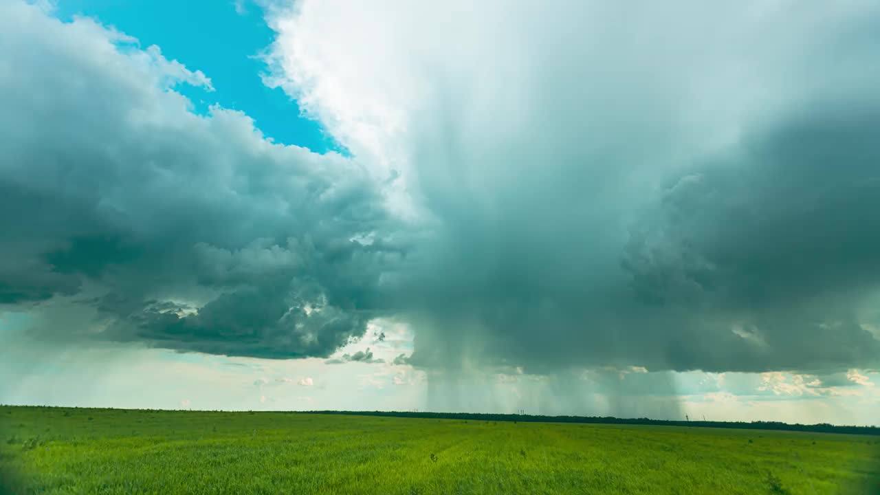 下雨下雨的云上面的乡村田野景观与年轻的绿色小麦芽在春天夏天多云的日子。农田上空乌云密布。小麦幼苗全高清延时，时间流逝视频素材