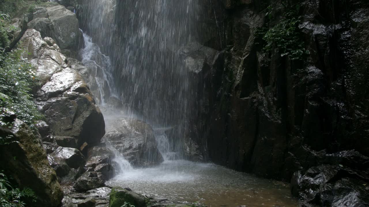 山间小溪，夏日树林视频素材