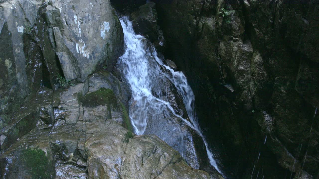 山间小溪，夏日树林视频素材