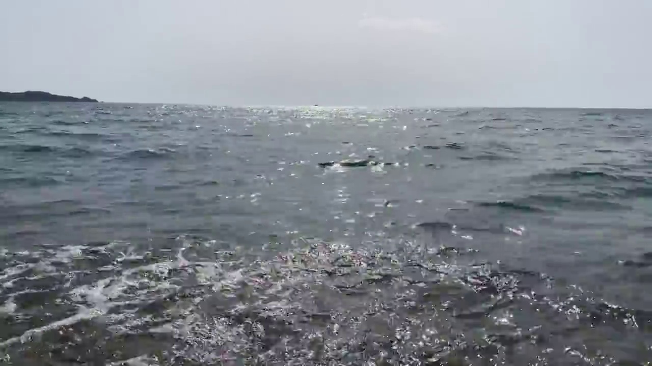 日落时海岸上的海浪视频素材