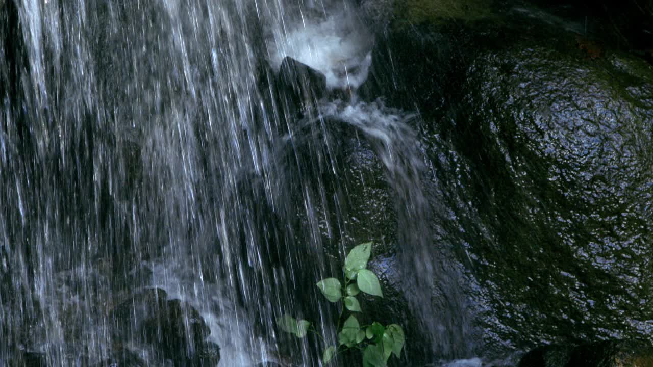 山间小溪，夏日树林视频素材