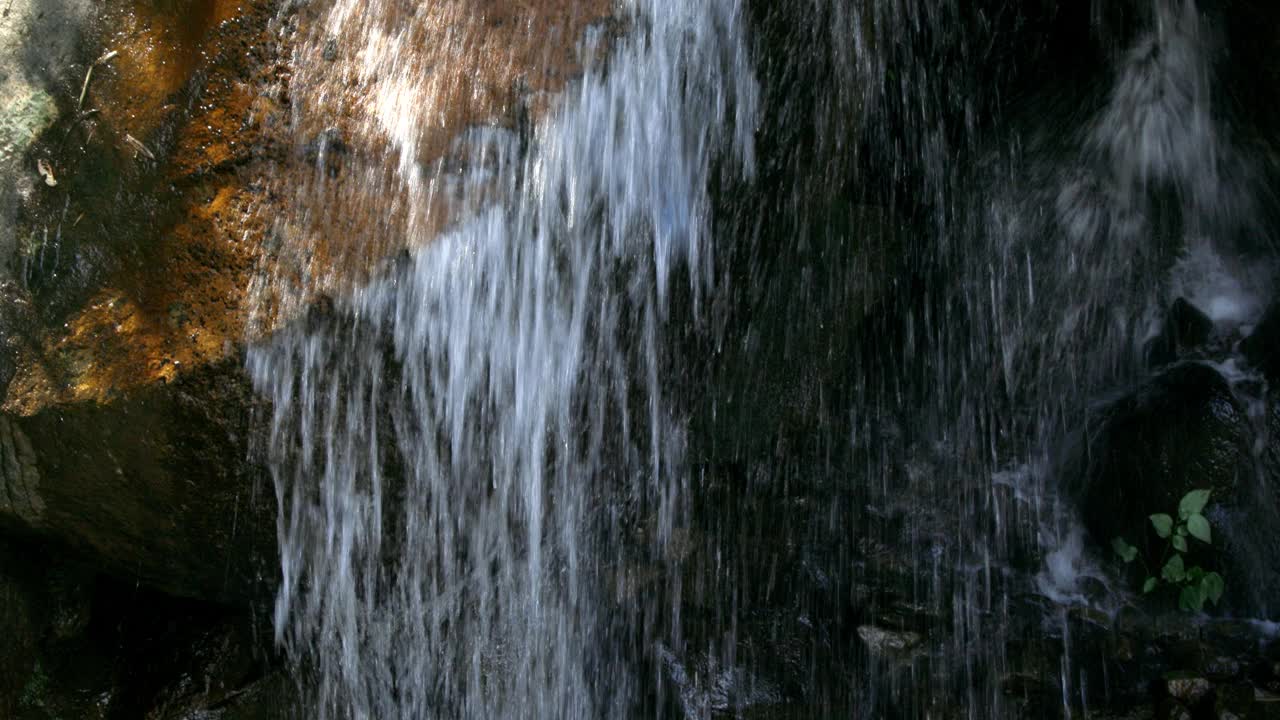 山间小溪，夏日树林视频素材