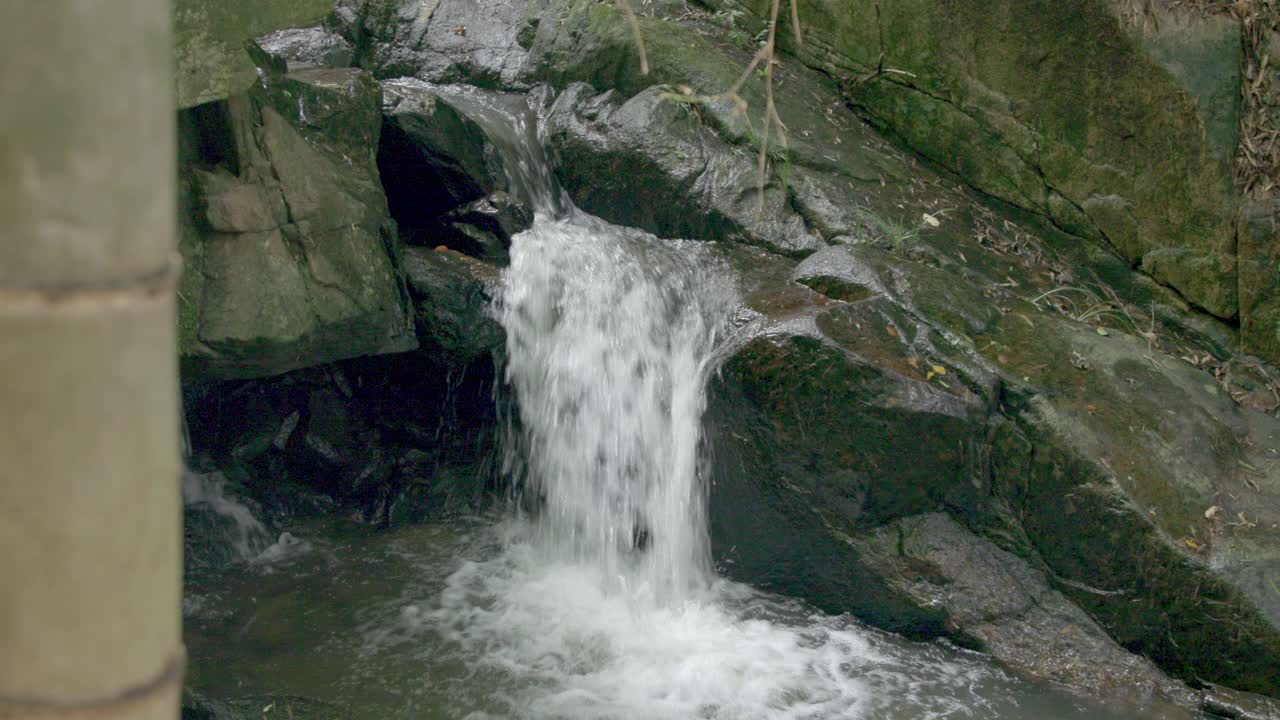 山间小溪，夏日树林视频素材