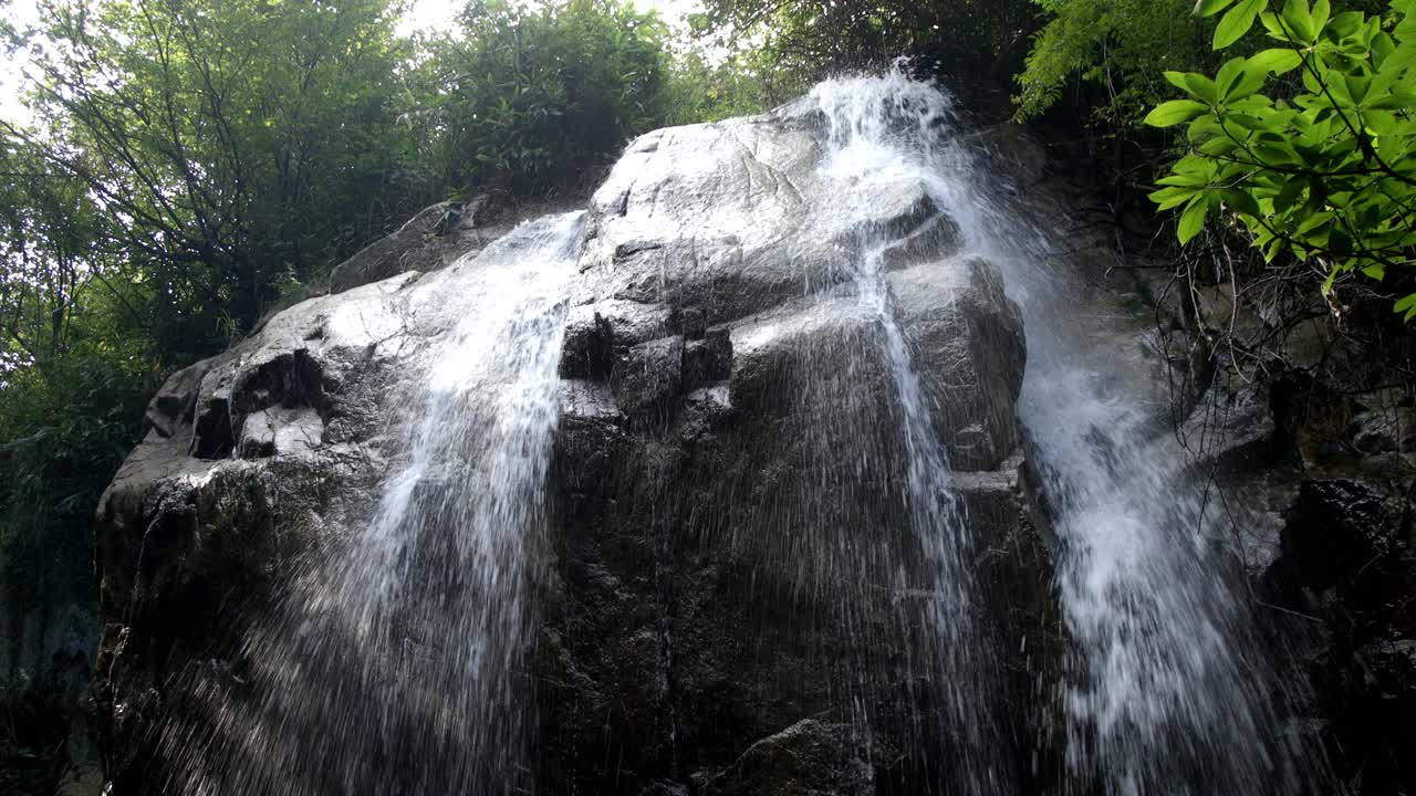 山间小溪，夏日树林视频素材