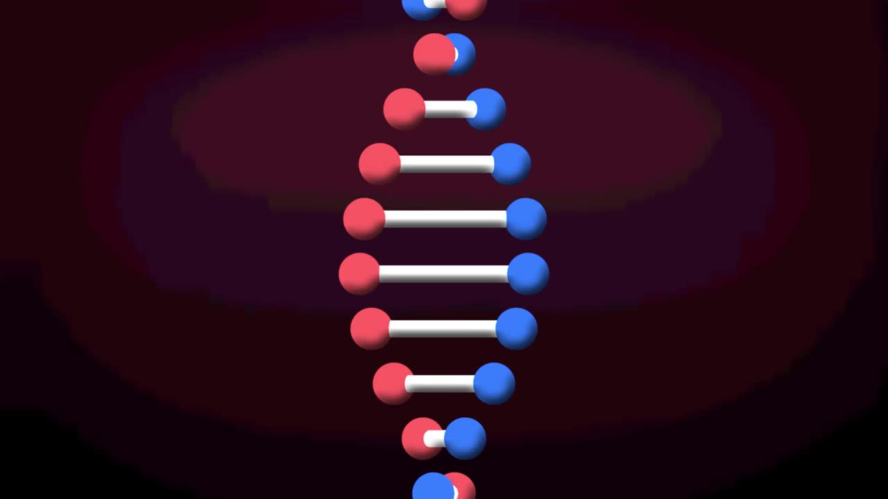 旋转3d模型dna链的动画，在暗红色背景下视频素材