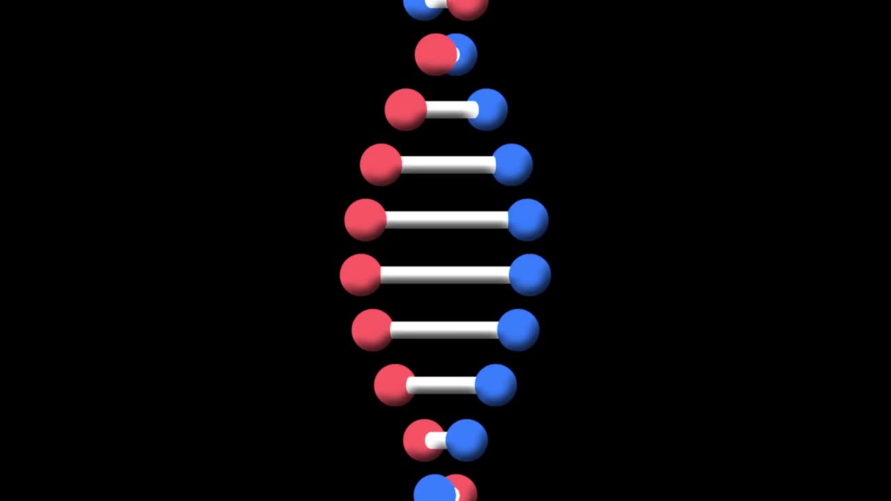 旋转3d模型dna链的动画，在黑色背景上视频素材