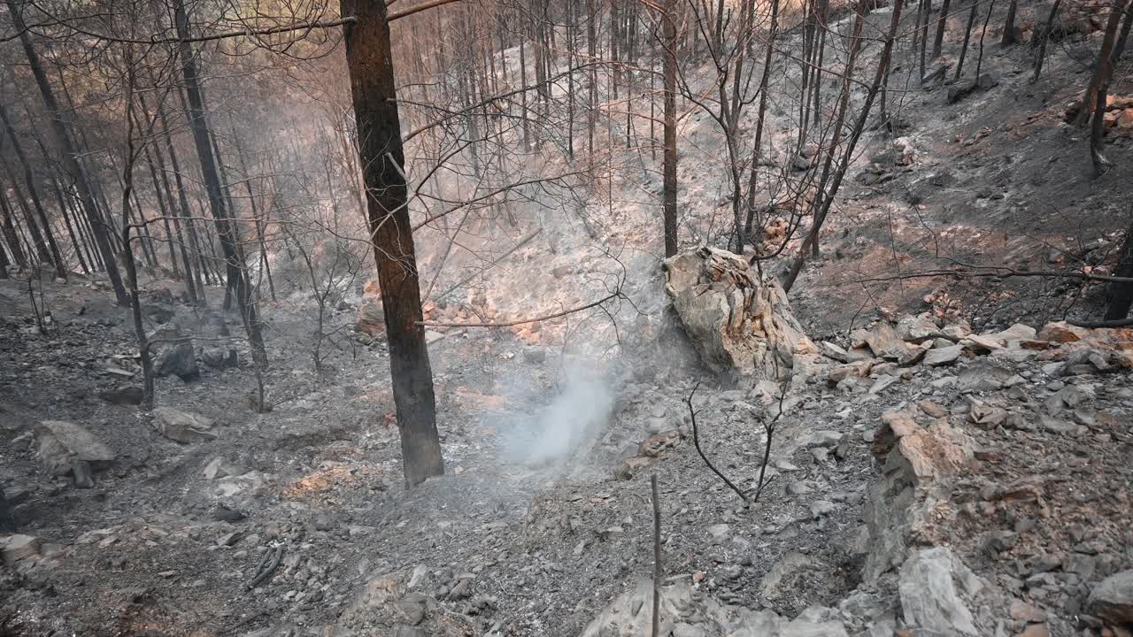 烧毁森林，村庄和农村地区到土耳其视频素材