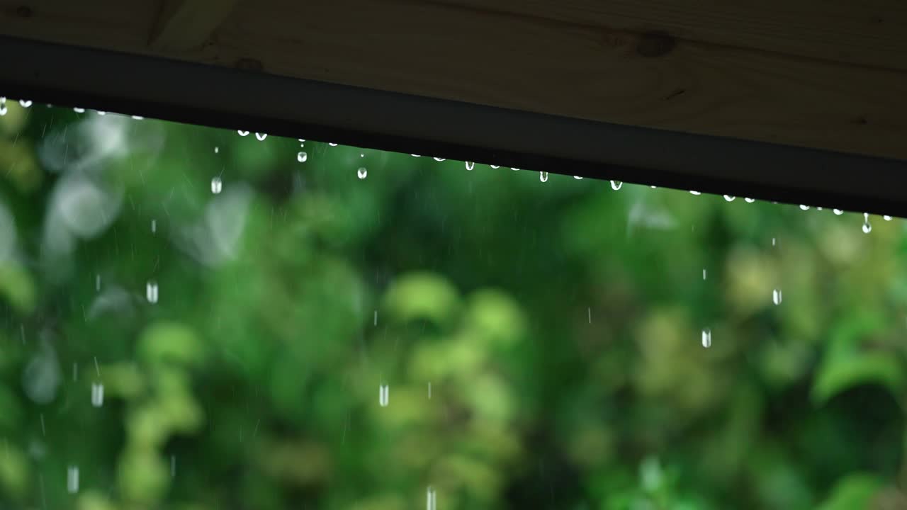 雨滴从木质屋顶的天篷落下。倾盆大雨在农村。潮湿的气候。秋高气爽。缓慢的绿色背景。视频素材