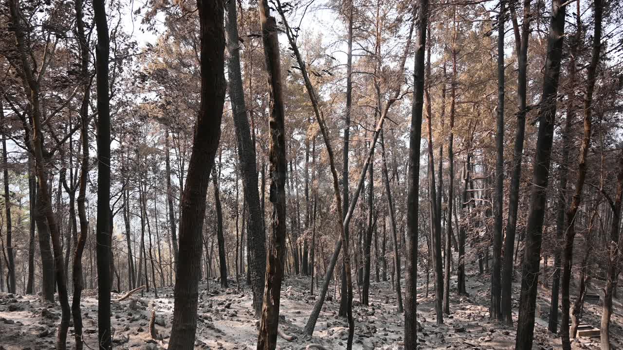 烧毁森林，村庄和农村地区到土耳其视频素材