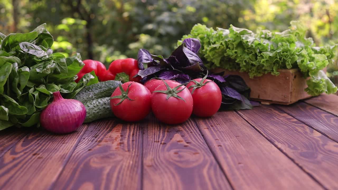 菜园里新鲜的农家蔬菜视频下载