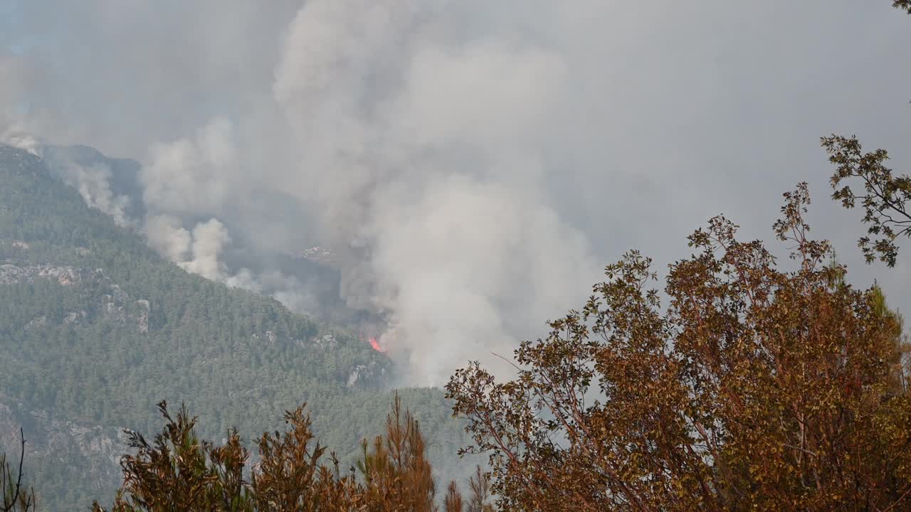 烧毁森林，村庄和农村地区到土耳其视频素材