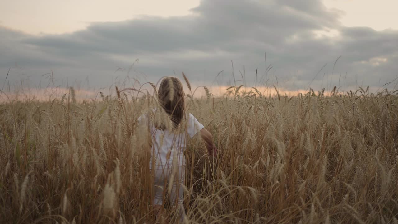 女儿和母亲梦想在夕阳下一起在麦田里奔跑。幸福家庭是人们在麦田里的观念。妈妈和女孩在玩追跑游戏。孩子们在绿色的草地上快乐地奔跑。视频素材